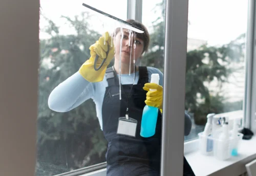 Nettoyage de vitres intérieures et extérieures à Baye
